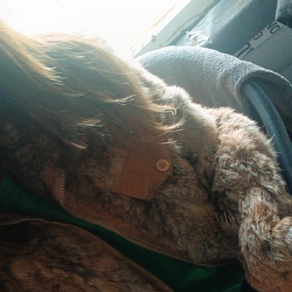 Women's Faux Fur Coat in Brown